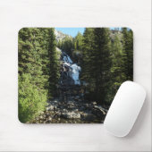 Verborgen Herfsten in het nationale park Grand Tet Muismat (Met muis)