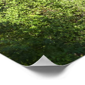 Verborgen Herfsten in het nationale park Grand Tet Poster (Hoek)