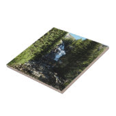 Verborgen Herfsten in het nationale park Grand Tet Tegeltje (Zijkant)