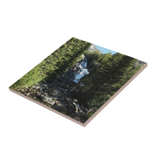 Verborgen Herfsten in het nationale park Grand Tet Tegeltje (Zijkant)