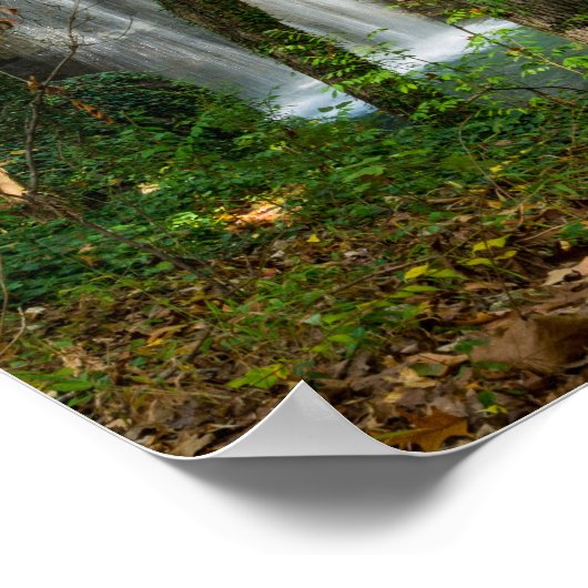 Verborgen Herfsten Poster (Hoek)