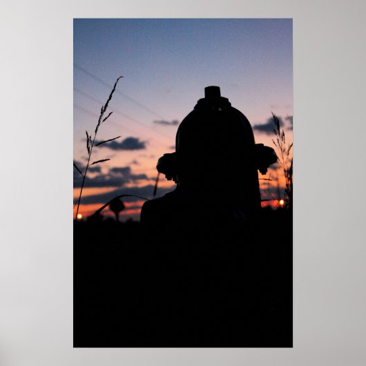 Verborgen hydraat poster (Voorkant)