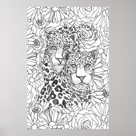 Verborgen Jaguar Poster (Voorkant)