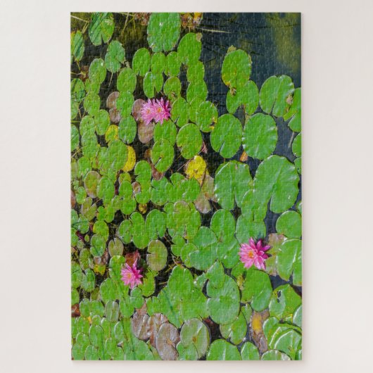 Verborgen kikkers legpuzzel (Verticaal)