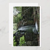 Verborgen lente waterval feestdagenkaart (Voorkant / Achterkant)