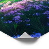 Verborgen meer in het hart van het bos poster (Hoek)