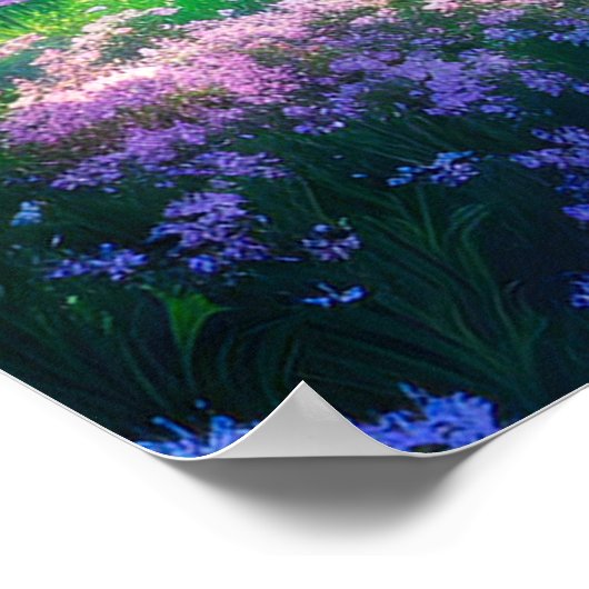 Verborgen meer in het hart van het bos poster (Hoek)