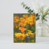 Verborgen papaver briefkaart (Staand voorkant)