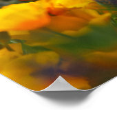 verborgen papaver poster (Hoek)