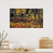 Verborgen, poster (Keuken)