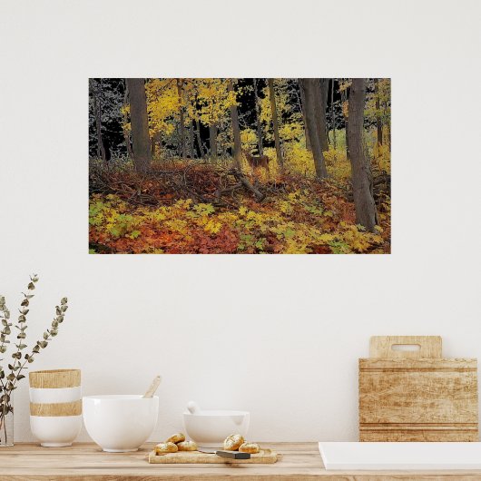 Verborgen, poster (Keuken)