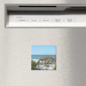Verborgen regenboog magneet (Insitu (Vaatwasser))