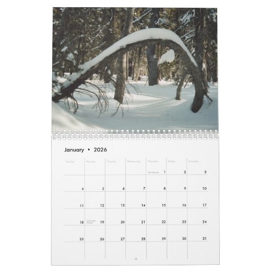 Verborgen schatten 2011 kalender (Jan 2026)