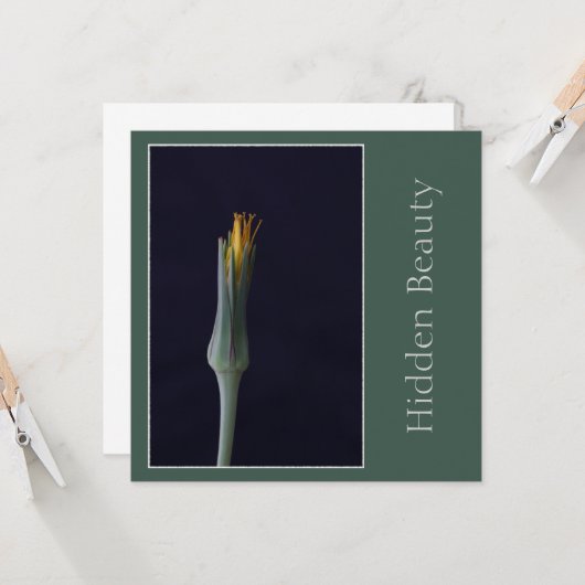 Verborgen schoonheid, elegante enkele bloem, groen kaart (Voorkant / Achterkant in situ)