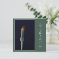Verborgen Schoonheid, Elegante Enkele Bloem, Groen