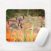 Verborgen Serenity Canada Geese Natuur Muismat (Met muis)