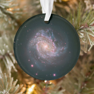 Verborgen spiraal Galaxy Messier 83. 2 Ornament