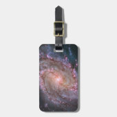 Verborgen spiraal Galaxy Messier 83. Bagagelabel (Voorkant verticaal)