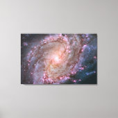 Verborgen spiraal Galaxy Messier 83. Canvas Afdruk (Voorkant)