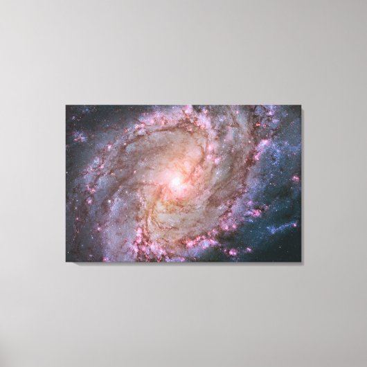 Verborgen spiraal Galaxy Messier 83. Canvas Afdruk (Voorkant)