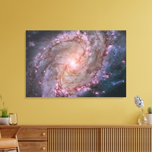 Verborgen spiraal Galaxy Messier 83. Canvas Afdruk (Insitu (Woonkamer))