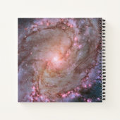 Verborgen spiraal Galaxy Messier 83. Notitieboek (Achterkant)