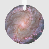 Verborgen spiraal Galaxy Messier 83. Ornament (achterkant)