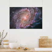 Verborgen spiraal Galaxy Messier 83. Poster (Keuken)