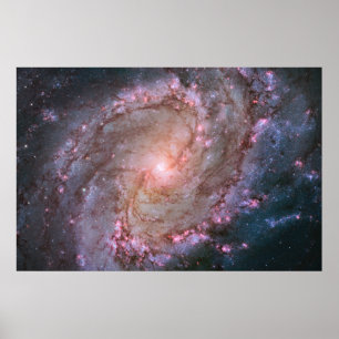 Verborgen spiraal Galaxy Messier 83. Poster