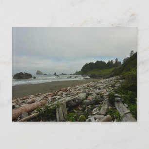 Verborgen strand I in Redwood National Park Briefkaart
