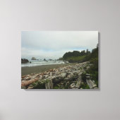 Verborgen strand I in Redwood National Park Canvas Afdruk (Voorkant)