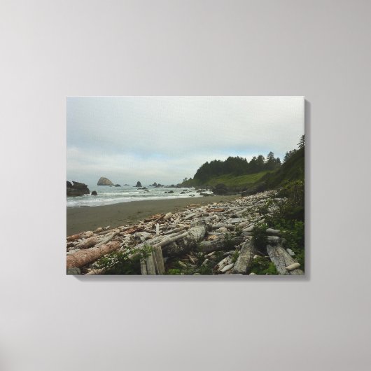 Verborgen strand I in Redwood National Park Canvas Afdruk (Voorkant)