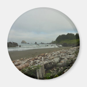 Verborgen strand I in Redwood National Park Magneet