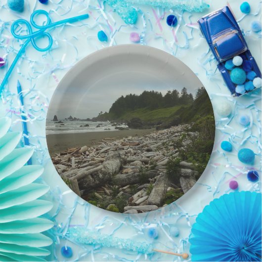 Verborgen strand I in Redwood National Park Papieren Bordje (Feest)