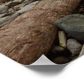 Verborgen strand I in Redwood National Park Poster (Hoek)