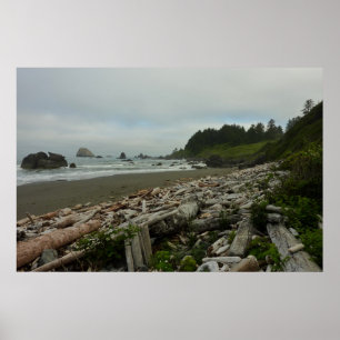Verborgen strand I in Redwood National Park Poster