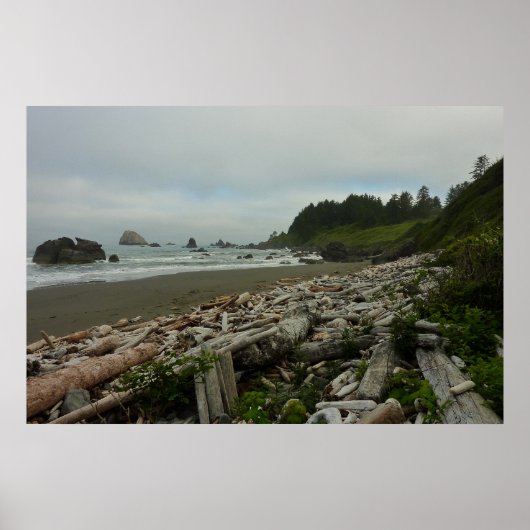 Verborgen strand I in Redwood National Park Poster (Voorkant)
