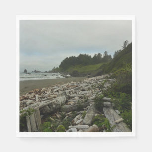 Verborgen strand I in Redwood National Park Servet