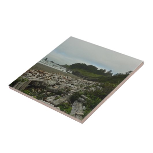 Verborgen strand I in Redwood National Park Tegeltje (Zijkant)