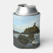 Verborgen strand II in Redwood National Park Blikjeskoeler (Blikje Voorkant)