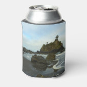 Verborgen strand II in Redwood National Park Blikjeskoeler (Blikje Achterkant)