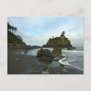 Verborgen strand II in Redwood National Park Briefkaart