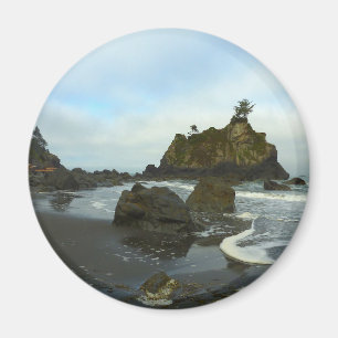 Verborgen strand II in Redwood National Park Magneet