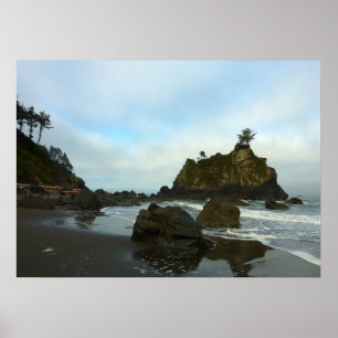 Verborgen strand II in Redwood National Park Poster