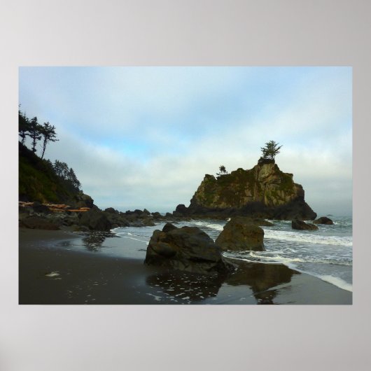 Verborgen strand II in Redwood National Park Poster (Voorkant)