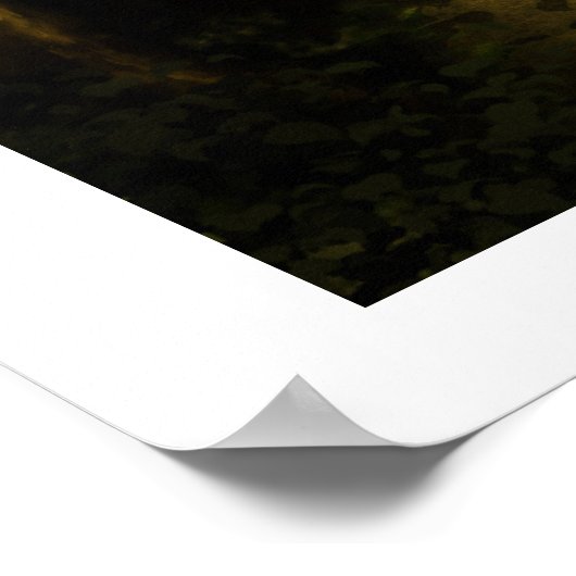 Verborgen tempel poster (Hoek)