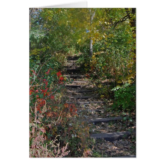 Verborgen trap (Voorkant)