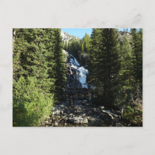 Verborgen Waterval in Grand Teton National Park Briefkaart