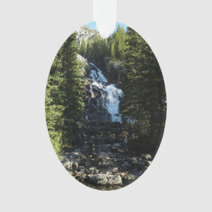 Verborgen Waterval in Grand Teton National Park Ornament
