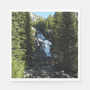 Verborgen Waterval in Grand Teton National Park Servet